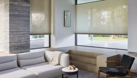 Beschut wonen met volop licht dankzij Duette&reg; Shades